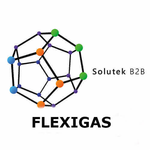 Flexigas
